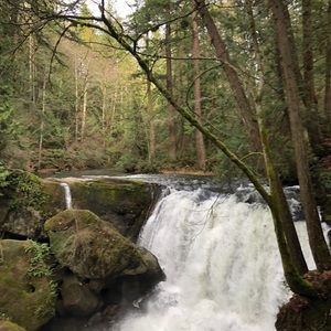 Meet your Posher, Pien